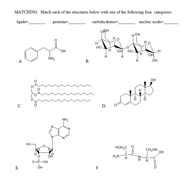 Solved MATCHING. Match Each Of The Structures Below With One | Chegg.com