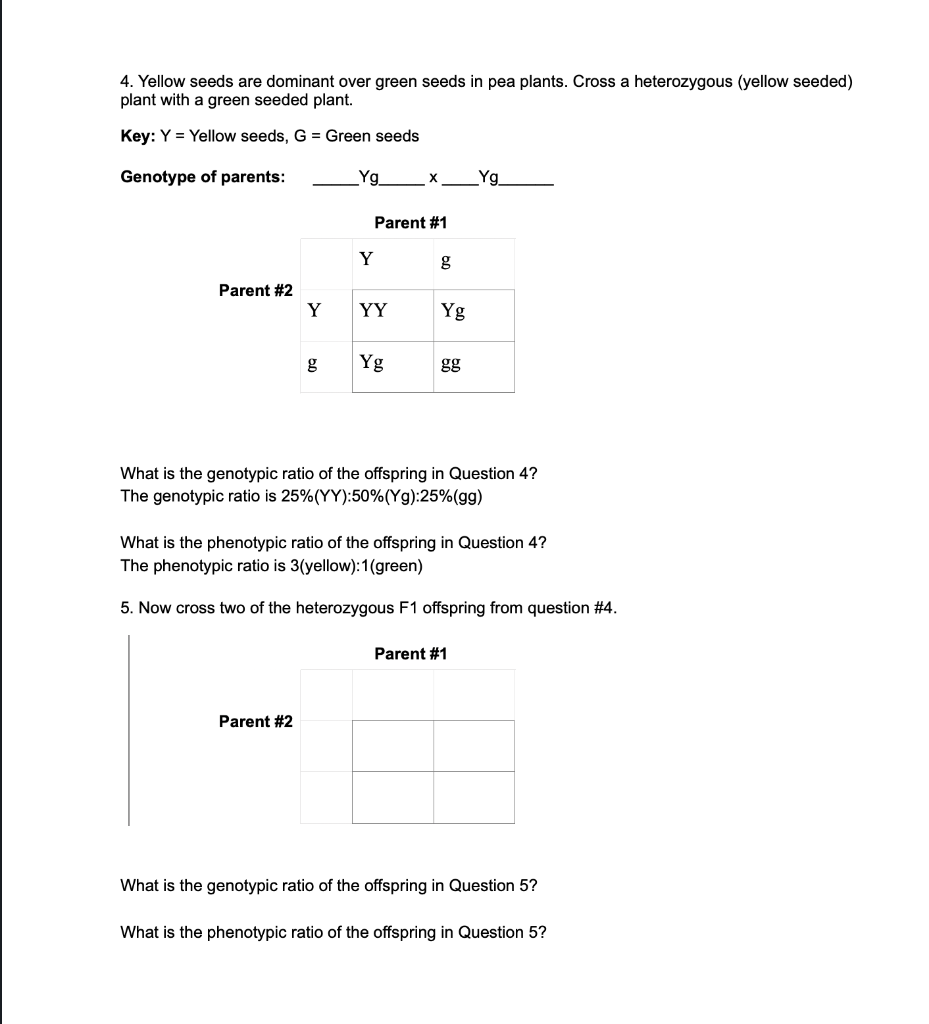 Solved Can someone please check my answers for question | Chegg.com