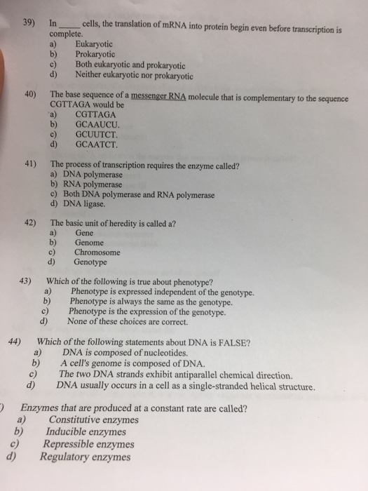 Solved 39) cells, the translation of mRNA into protein begin | Chegg.com