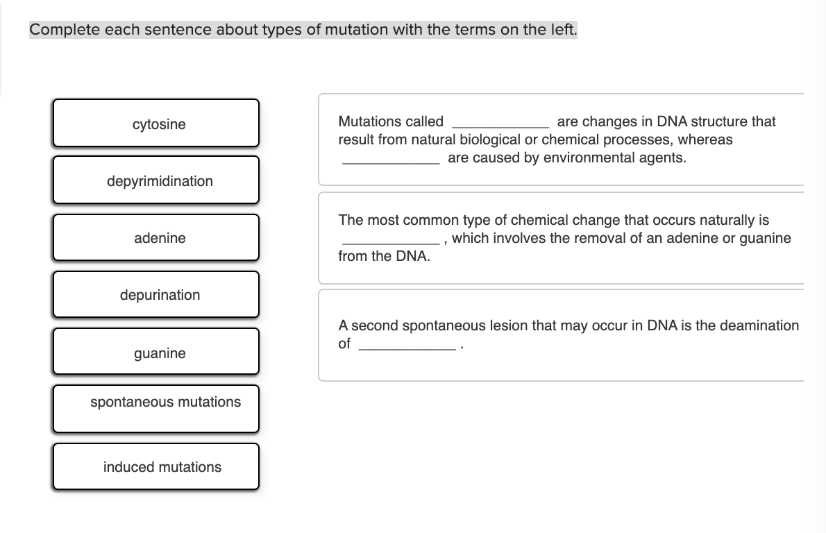 Solved Complete Each Sentence About Types Of Mutation With Chegg Com