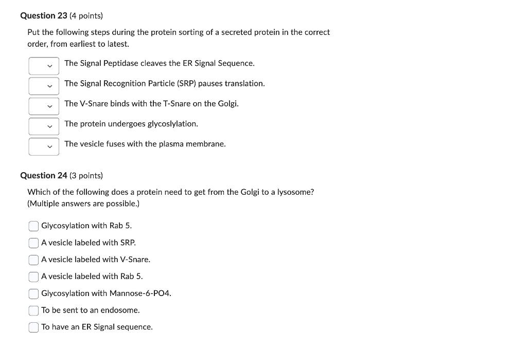 Solved Put the following steps during the protein sorting of | Chegg.com