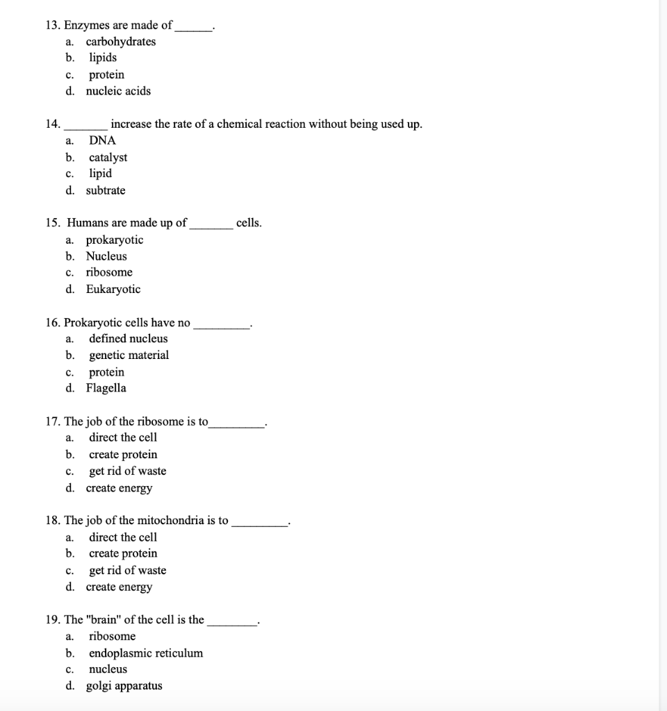 Solved A. 13. Enzymes Are Made Of Carbohydrates B. Lipids C. | Chegg.com