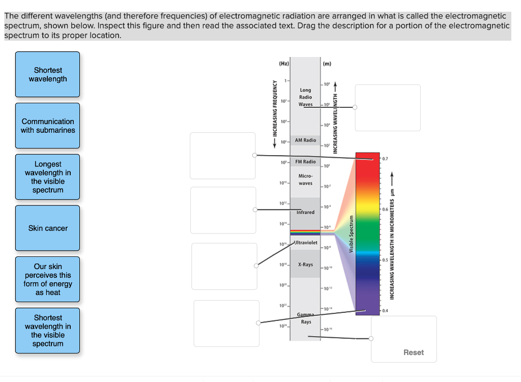 solved-the-different-wavelengths-and-therefore-frequencies-chegg