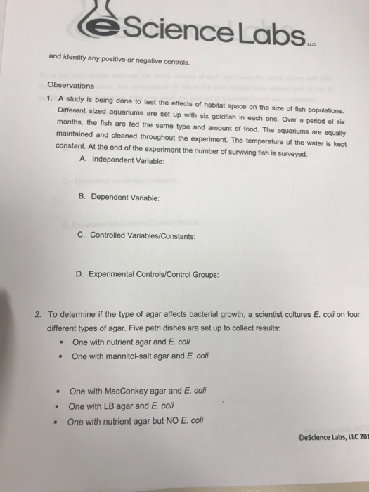 Solved EScience Labs and identify any positive or negative