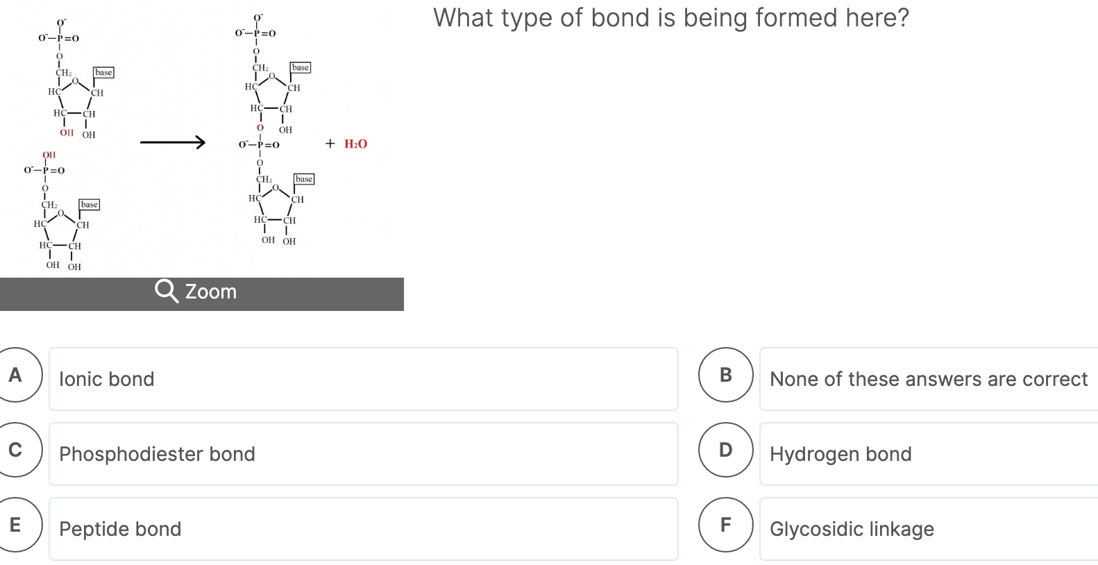 Solved What Type Of Bond Is Being Formed Here 0 P 0 0 P Chegg Com