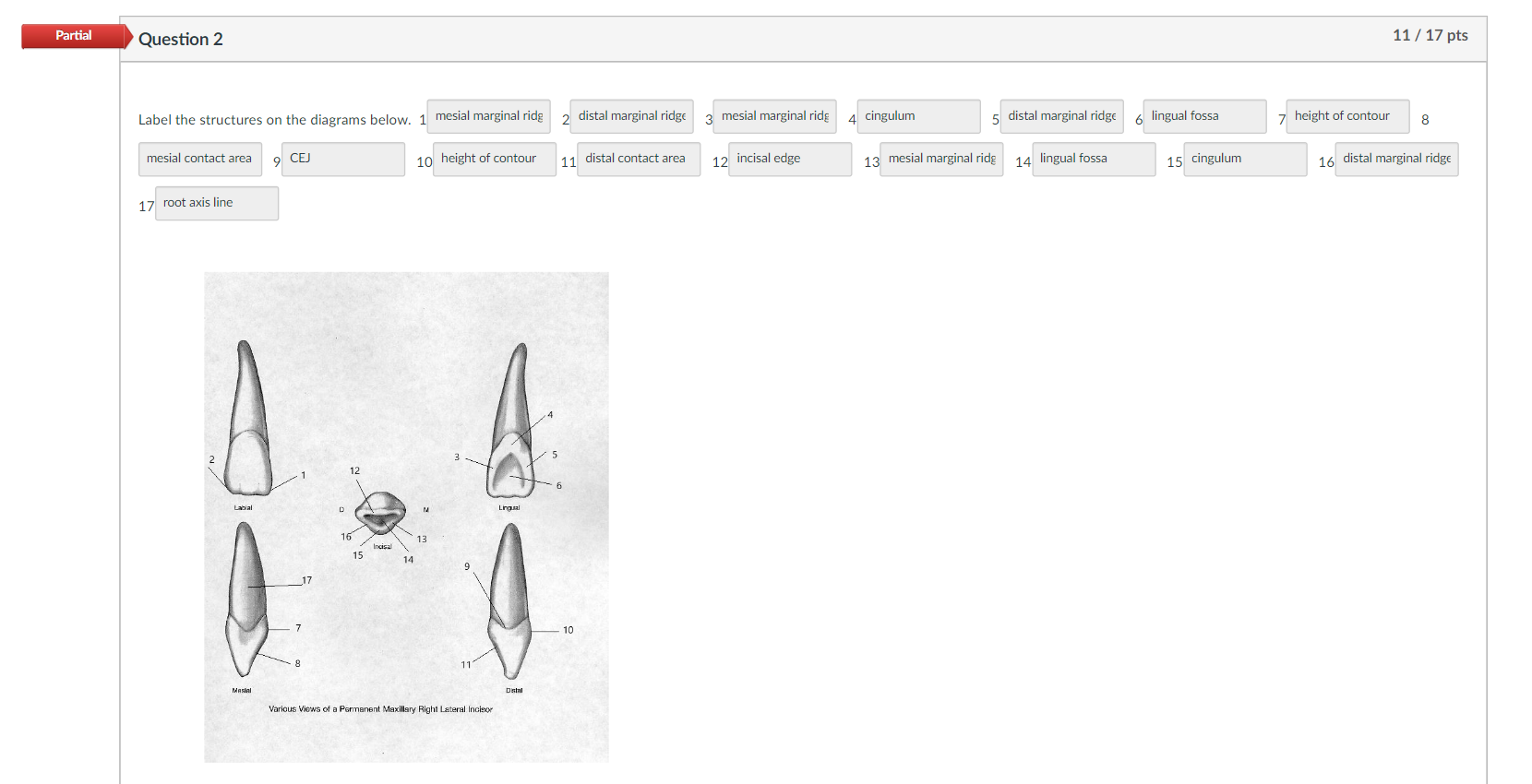 Solved Label the structures on the diagrams below. 1 | Chegg.com