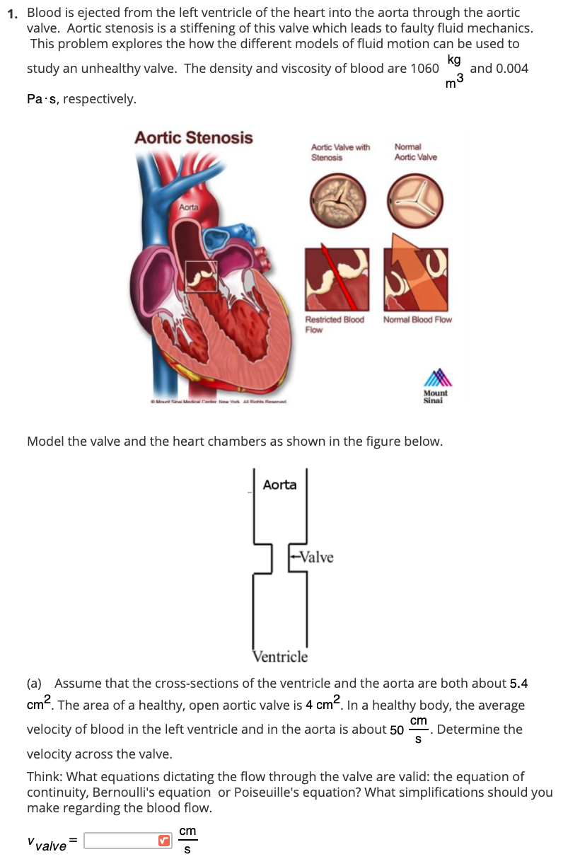 Solved 1 Blood Is Ejected From The Left Ventricle Of The