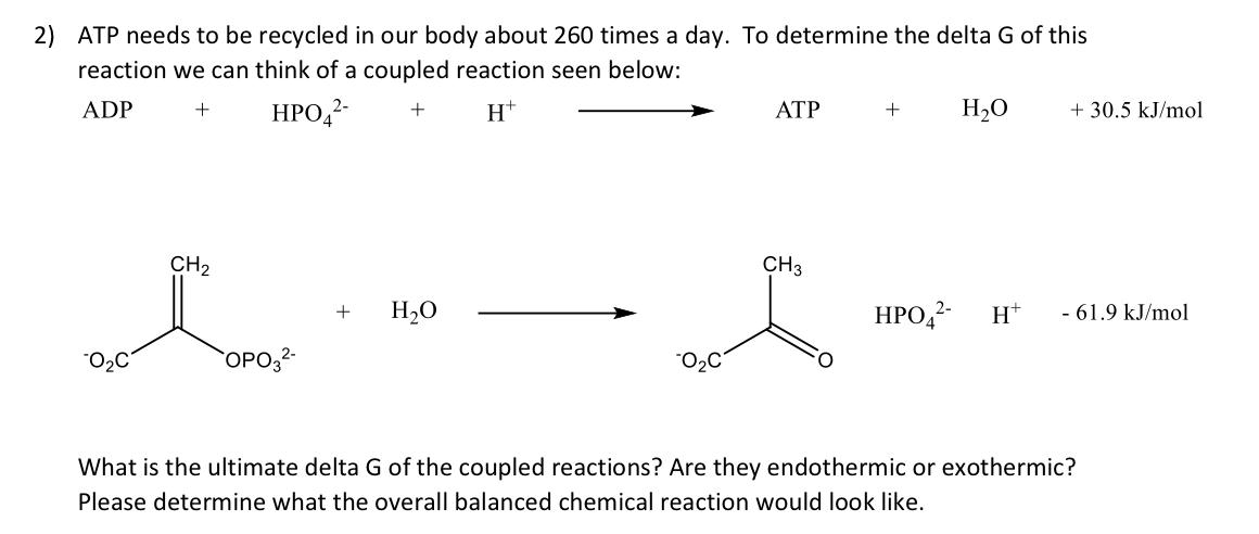 Solved ATP needs to be recycled in our body about 260 times | Chegg.com