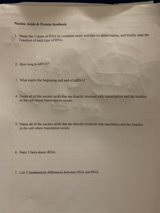 Solved Unit 3 Review Nucleic Acids & Protein Synthesis Name