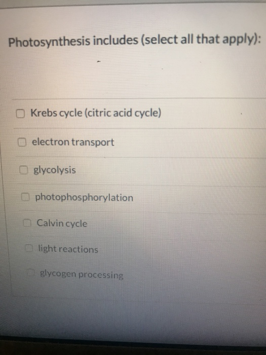 Solved Photosynthesis Includes select All That Apply Chegg