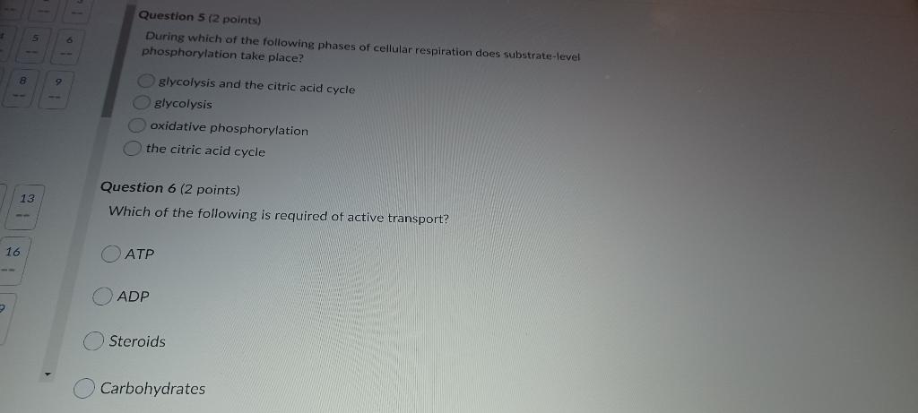 Solved Question 5 (2 points) During which of the following | Chegg.com