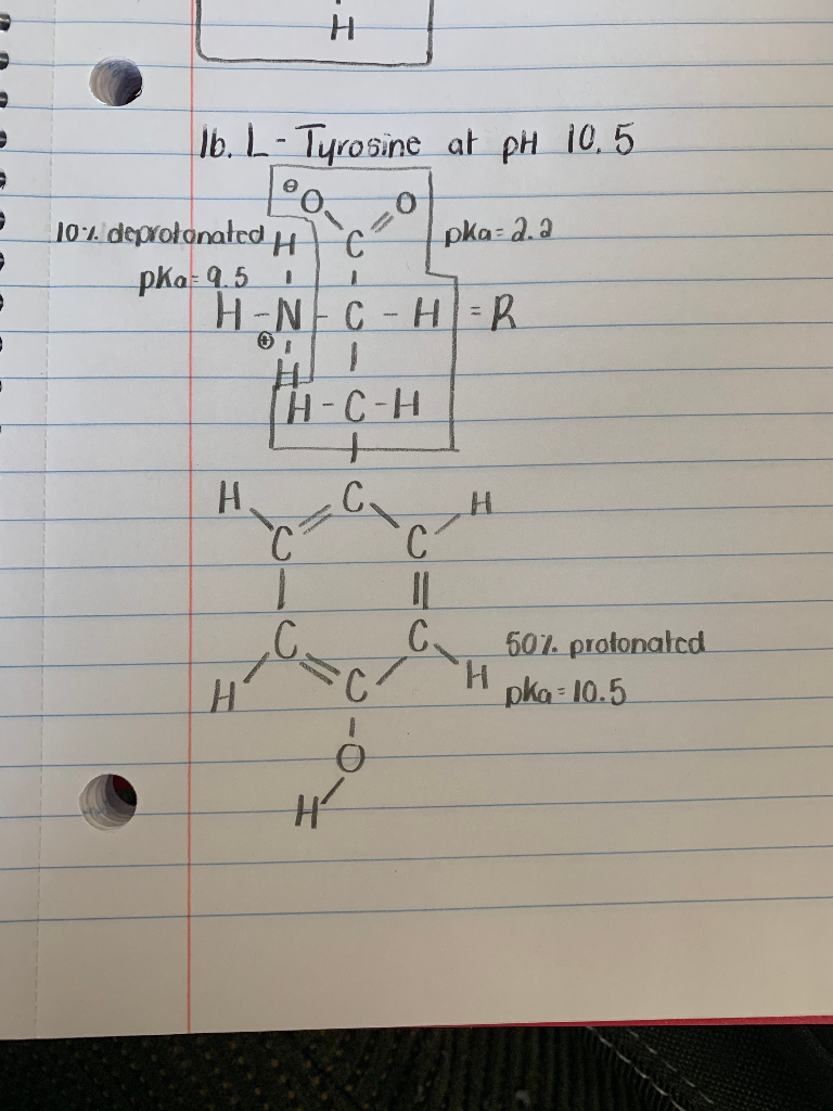Solved 1. Draw all the forms of Tyrosine at pH 10.5. I have