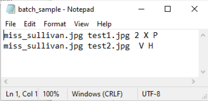 The File-Based Batch User Interface Batch processing | Chegg.com