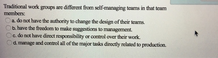 self-managing-teams-benefits-challenges-and-our-strategy-el-passion