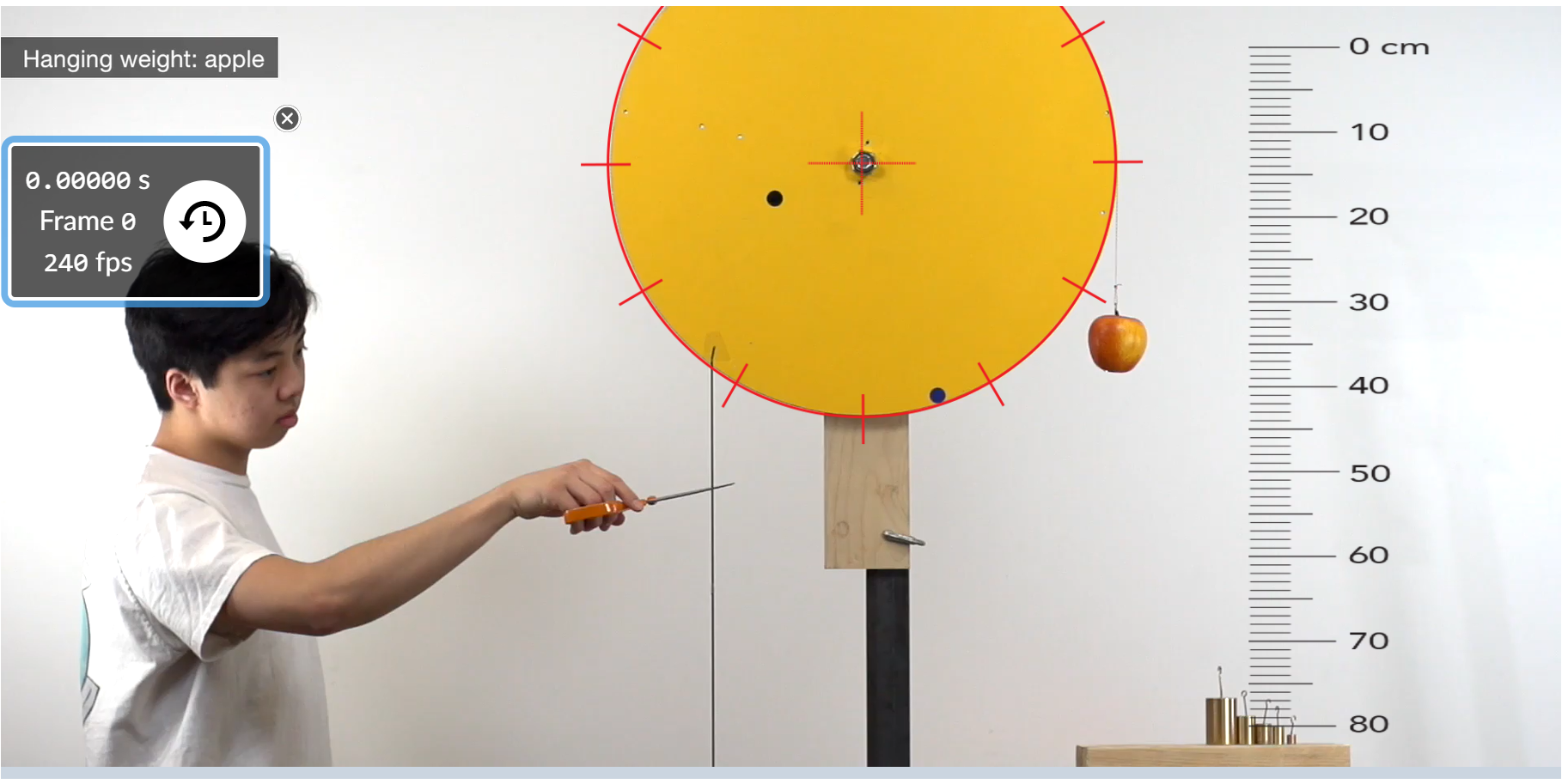 Solved Ocm Hanging weight: apple X х 10 0.00000 s Frame Ø | Chegg.com