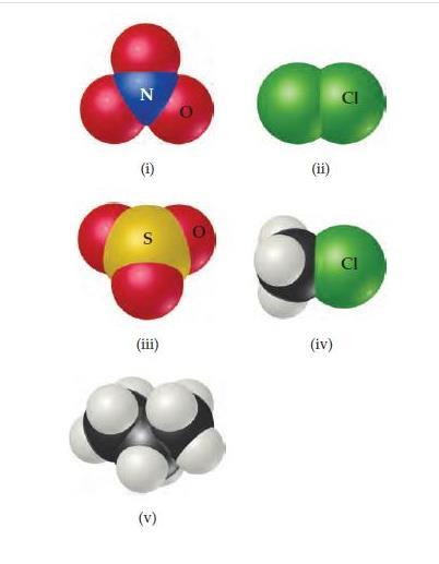 Solved (i) (ii) (iii) (iv) From the molecular structures | Chegg.com