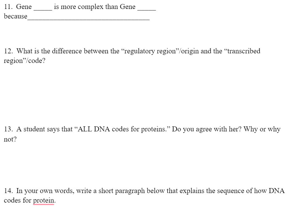 11 Gene Because Is More Complex Than Gene 12 What Chegg Com