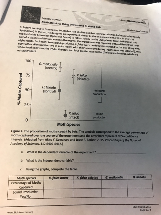 Solved: OVERVIEW This Worksheet Complements The Short Vide... | Chegg.com