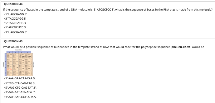 Solved QUESTION 44 If the sequence of bases in the template | Chegg.com