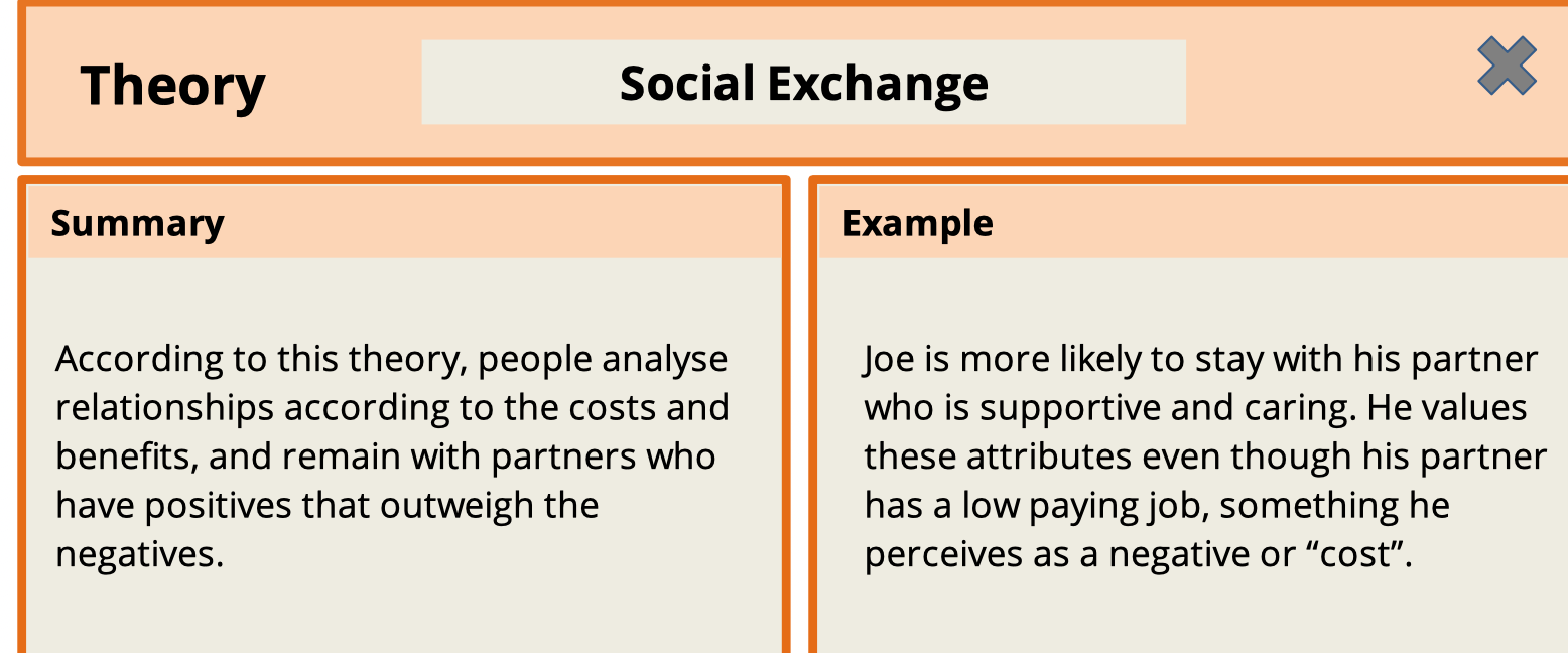 Solved Choose one of the following theories. Apply it to the | Chegg.com