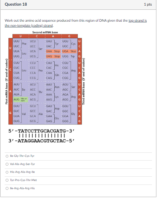 Solved Work out the amino acid sequence produced from this | Chegg.com