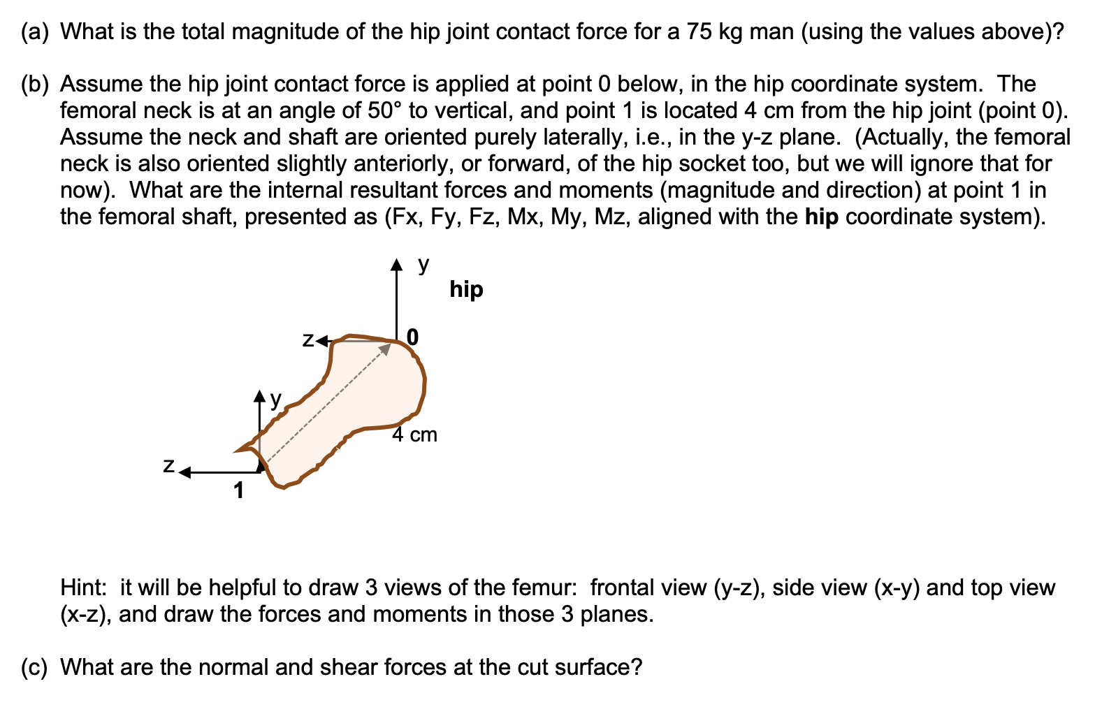 internal-loads-in-the-femur-stress-fractures-in-the-chegg