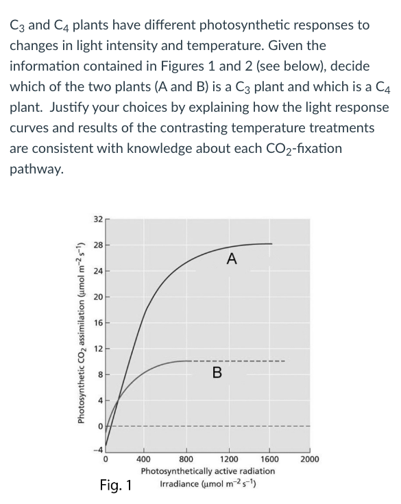 Solved C3 and C4 plants have different photosynthetic | Chegg.com