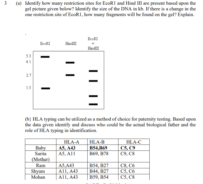 Solved 3 (a) Identify how many restriction sites for EcoR1 | Chegg.com