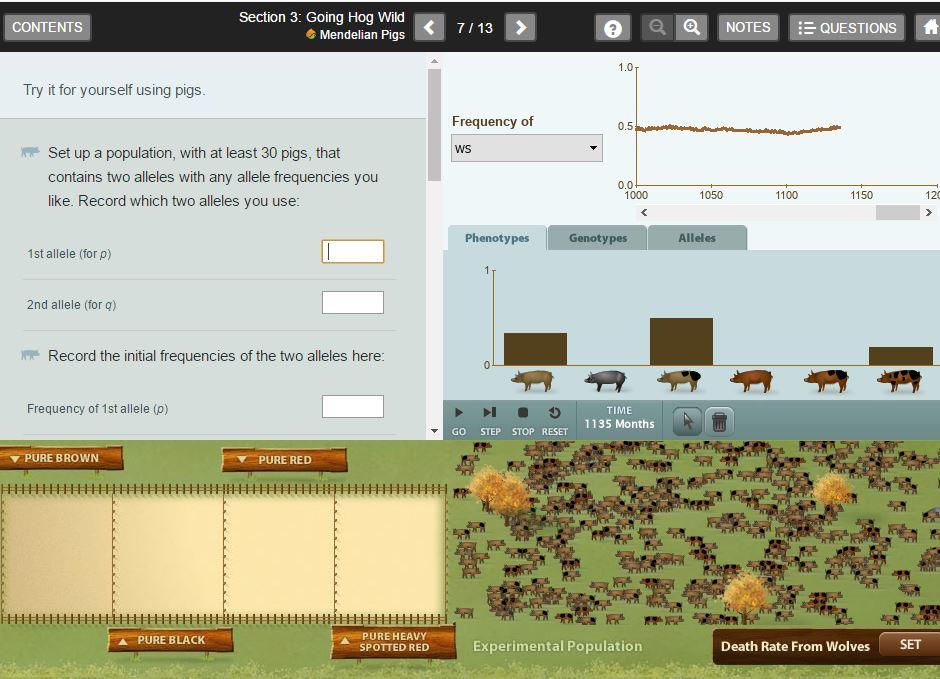 Solved Try it for yourself using pigs. men- Set up a | Chegg.com