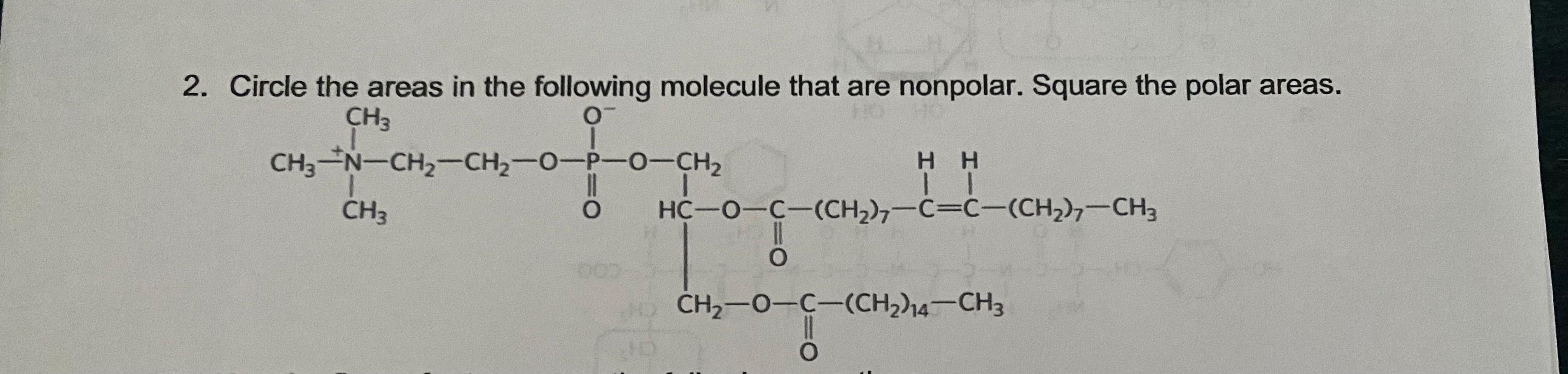Solved Circle the areas in the following molecule that are | Chegg.com
