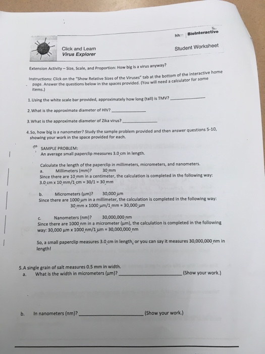 Hhmi Virus Explorer Worksheet Answer Key Blissinspire