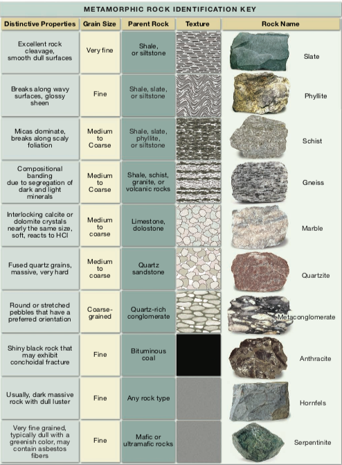 Solved Carefully look at the metamorphic foliation shown in | Chegg.com