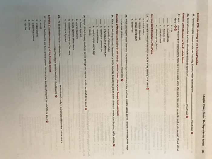 Solved Chapter 27: The Reproductive System WORKSHEET The O | Chegg.com