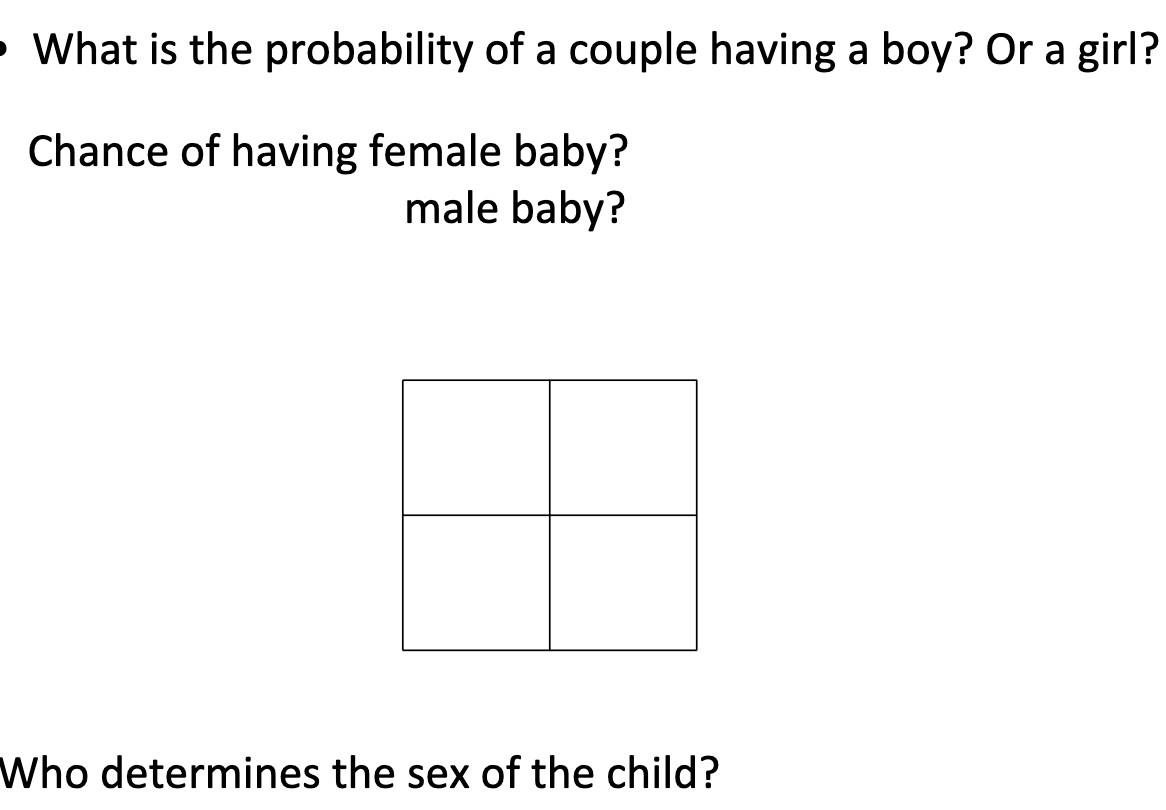 Solved What is the probability of a couple having a boy? Or | Chegg.com