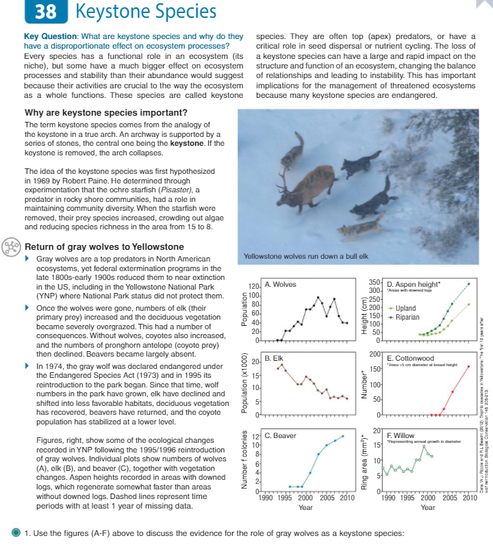 What is a keystone species, and why do they matter?