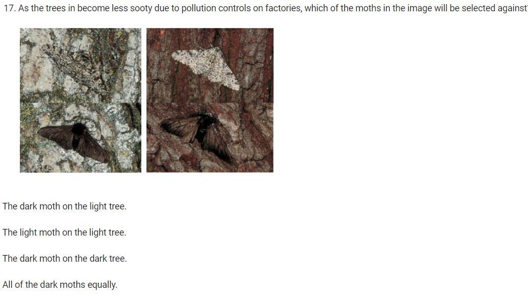 Solved 17. As the trees in become less sooty due to | Chegg.com