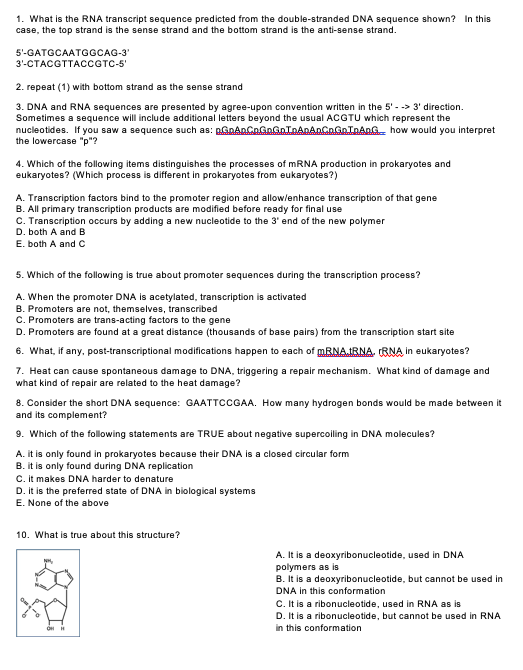 Solved: 1. What Is The RNA Transcript Sequence Predicted F... | Chegg.com