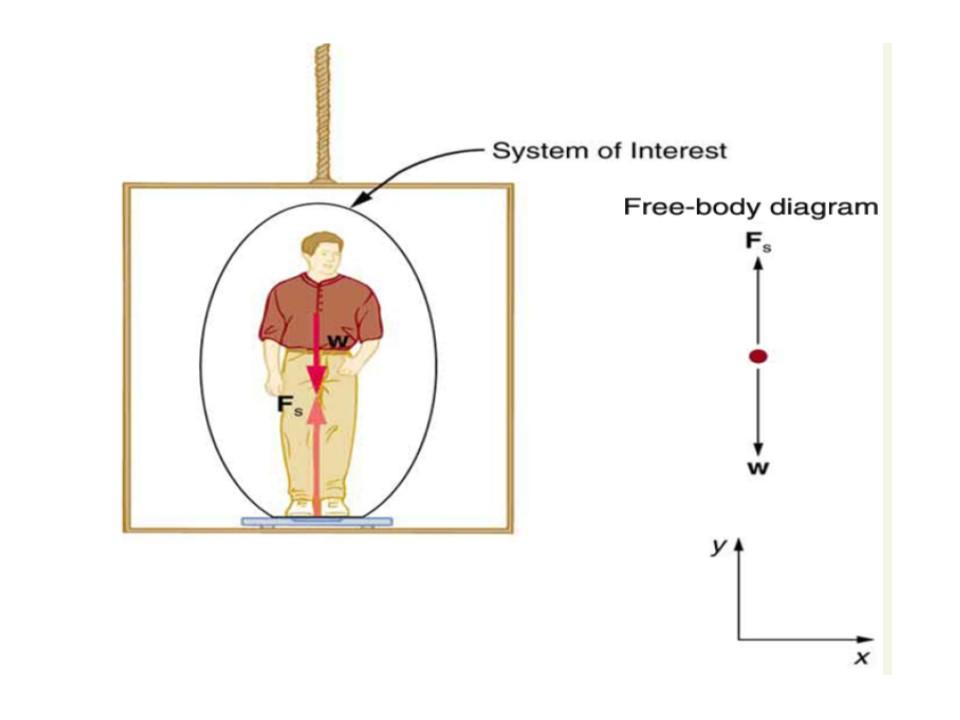 Solved As shown in the above figure a person stands on a