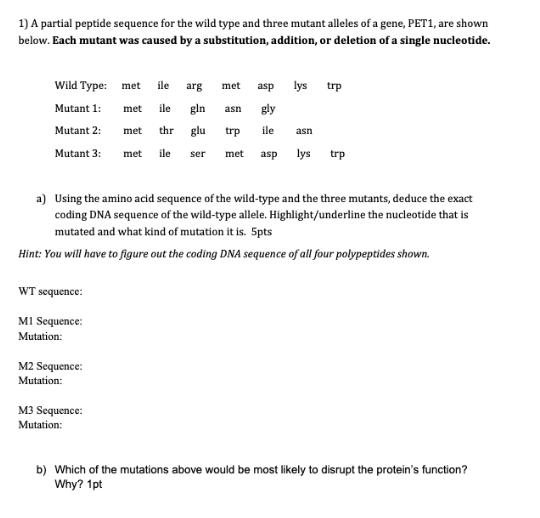 Solved 1) A partial peptide sequence for the wild type and | Chegg.com