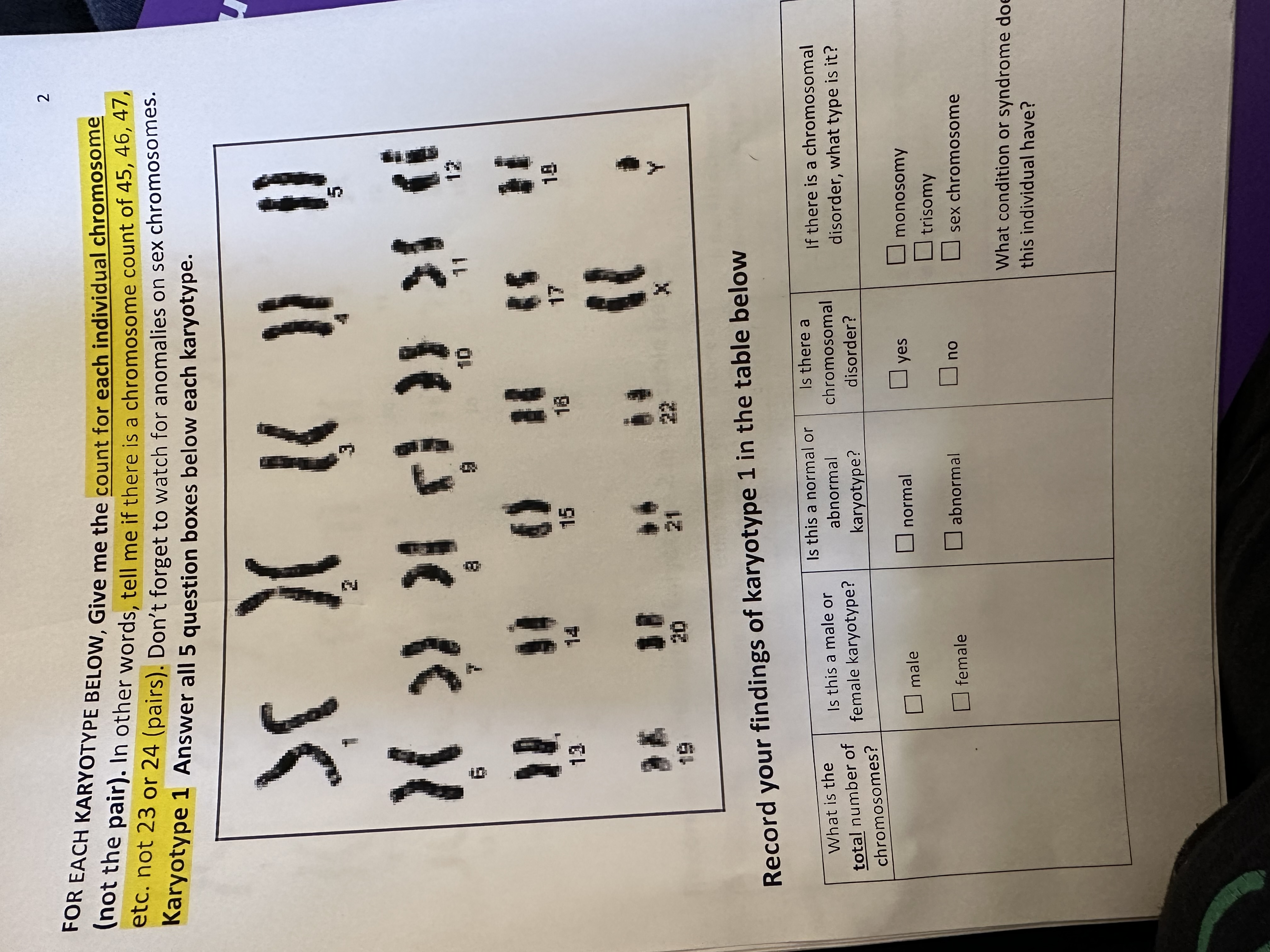 FOR EACH KARYOTYPE BELOW, Give me the count for each | Chegg.com