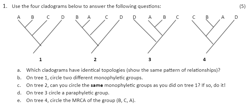 Solved 1. Use The Four Cladograms Below To Answer The | Chegg.com