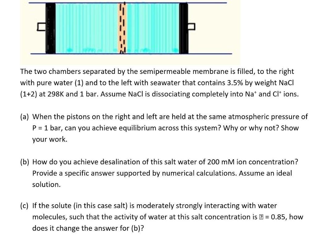 Solved The two chambers separated by the semipermeable