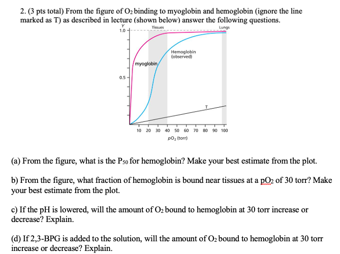 Solved 2 3 Pts Total From The Figure Of O2 Binding To 9965