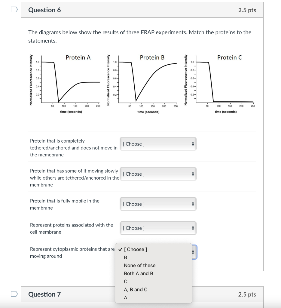 Solved The diagrams below show the results of three FRAP | Chegg.com