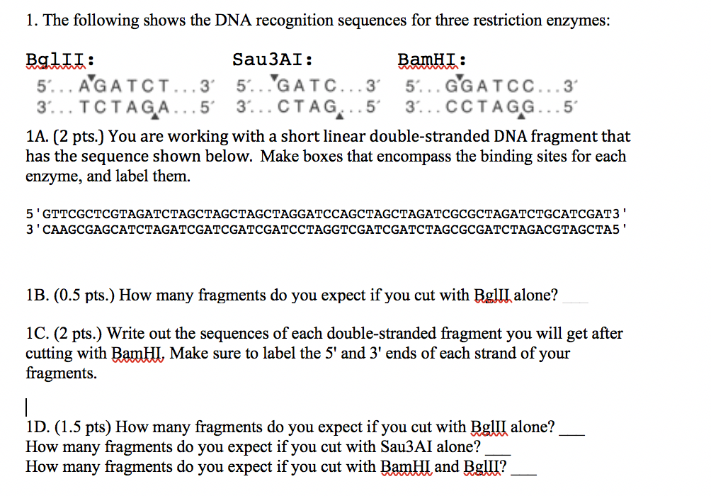 Solved 1. The Following Shows The DNA Recognition Sequences | Chegg.com