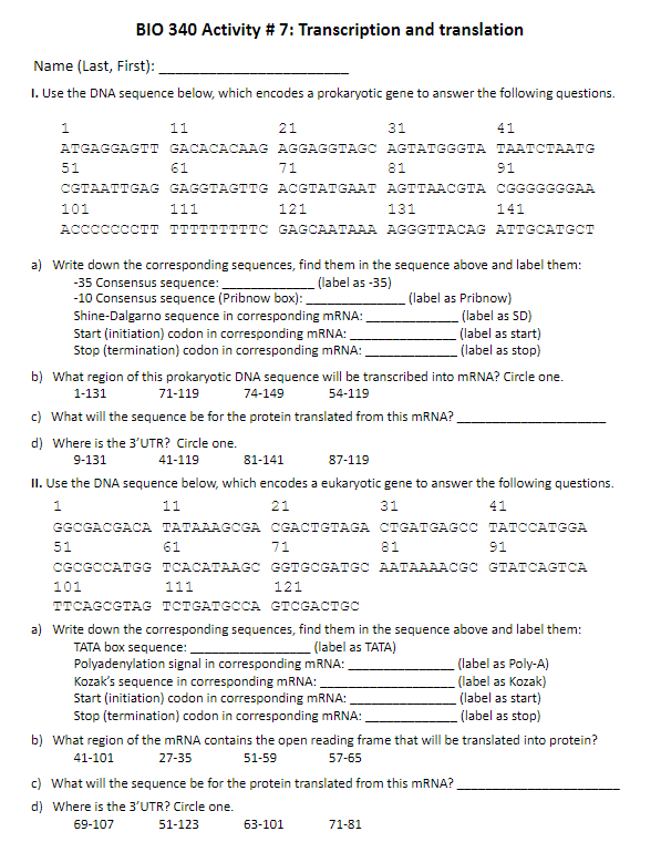 Solved BIO 340 Activity \# 7: Transcription and translation | Chegg.com