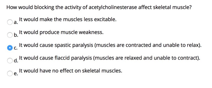 How Would Blocking The Activity Of Acetylcholinesterase Affect Skeletal Muscle