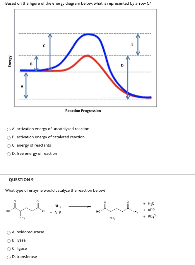 Solved Based on the figure of the energy diagram below, what | Chegg.com