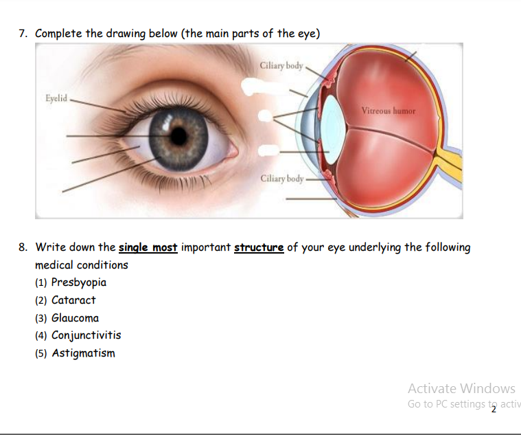 7. Complete the drawing below (the main parts of the eye) Ciliary body Eyelid Vitreous humor Ciliary body 8. Write down the s