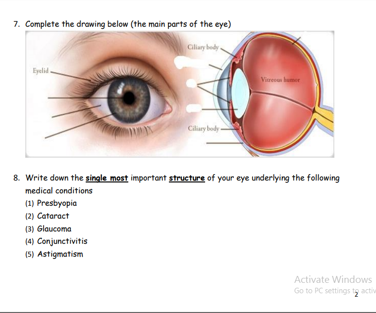 parts of the eyelid